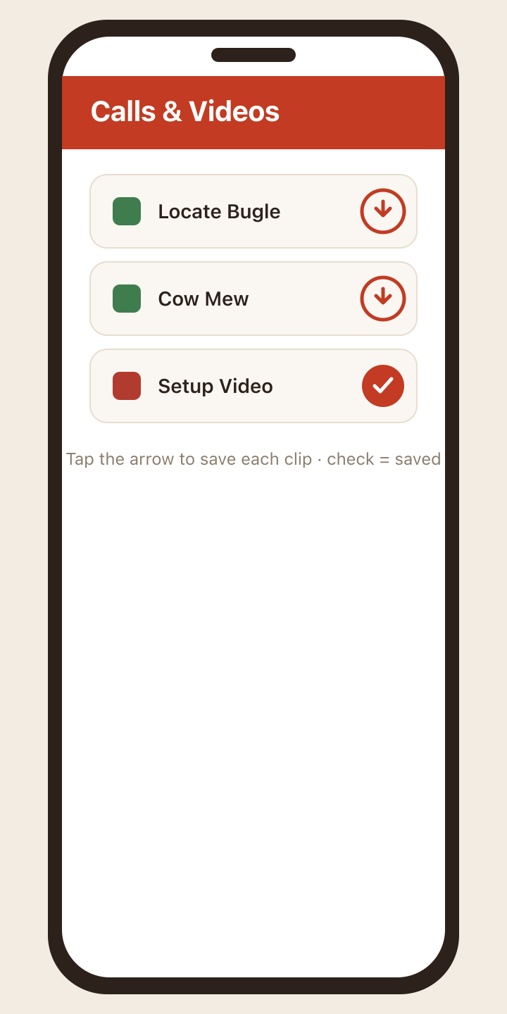 A list of calls and videos, each with a download arrow; one shows a saved checkmark